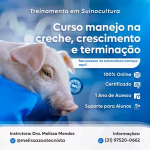 Curso manejo de suínos nas fases de creche , crescimento e terminação